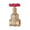 Esco EA470DF-62 RC1/1/4" Gate Valve Brass
