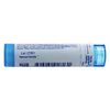 Boiron Aesculus Hippocastan 30 C, 80 CT