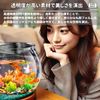 Alpha Depot Fishbowl, Plastic, Aquarium (Large)