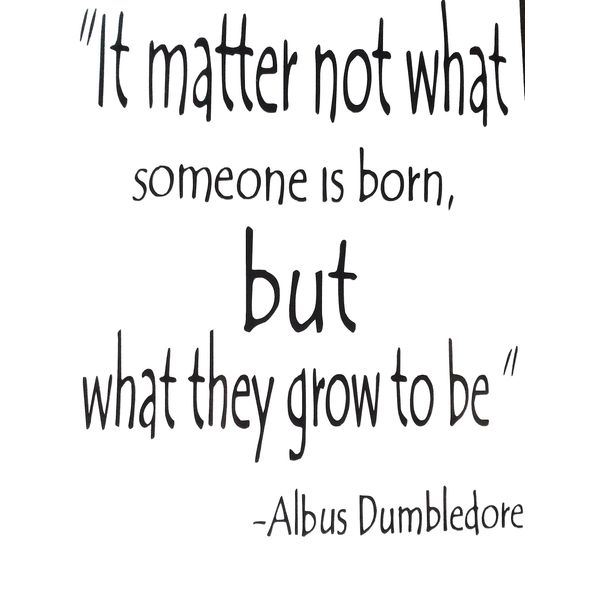 uksellingsuppliers ® Harry Potter Quote (It matter not what someone is born Albus Dumbledore) 25cm x 20cm. A4 Wall Art Decal Stickers Black Vinyl