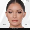 Anastasia Beverly Hills Brow Wiz - Ebony