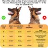 Adjustable Stainless Steel Prong Collar for Effective Dog Training - X-Large