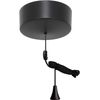 Modern Bathroom Ceiling Light Finished In Matt Black Switch With Black Pull Cord And Toggle - 6A 2-Way
