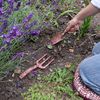 Robert Frederick Fork and Trowel Garden Tool Set - William Morris Design