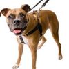 Freedom No-Pull Harness and 4-Configuration Training Leash Package (1" Wide Medium (23"-28"), Black with Silver)
