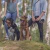 Trixie Premium Double Adjustable Dog Leash, Large/X-Large, Blue,2M/25Mm