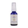 Ayur Medic Hyaluronic Pure (1 fl. oz.)