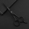 HALO FORGE Professional Mustache & Beard Scissors: Small Sharp Stainless Steel Beard Shears For Men Personal Care Precision Trimming Mustache, Facial Hair, Eyebrow, 5.5 Inch (Black)