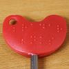 NKS Ltd. Easy Turn Disabled Toilet Access Key with Red Handle, N85316