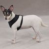 Casual Canine Mesh Dog Harness, Medium, Black