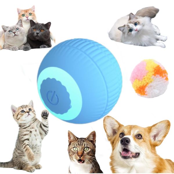 SVIEILLES cat Toy Activity and Quietness Two-Piece Set-Wloom Power Ball 2.0 Interactive Indoor Kittens Favorite Toys（powerball with Plush Silent Ball）