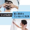 Gatsby Perfect Shampoo (Refill) Men's Scalp Care Damage Care