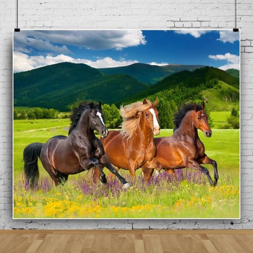 Horse Birthday Party Banner 12x8ft Fabric Horse Party Decorations Cowboy Cowgirl Events Decor Wild West Events Baby Shower Backdrop