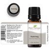 Plant Therapy Nutmeg Essential Oil 10 mL (1/3 oz) 100% Pure, Undiluted, Therapeutic Grade