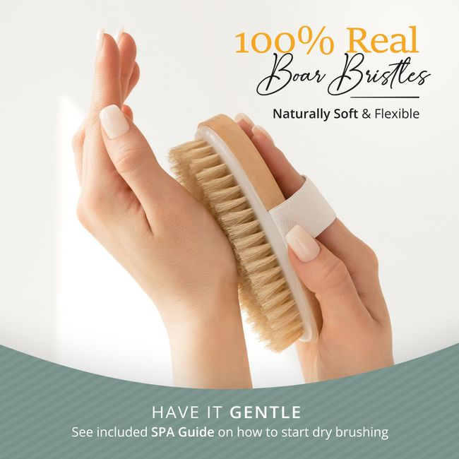 Belula 100% Boar Bristle Hair Brush Set. Soft Natural Bristles for