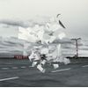 「Crowds」(通常盤)(ホワイトアッシュver ジャケット&ブックレット)