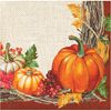 Creative Converting Plentiful Harvest Beverage Napkins, 5", Multi-color