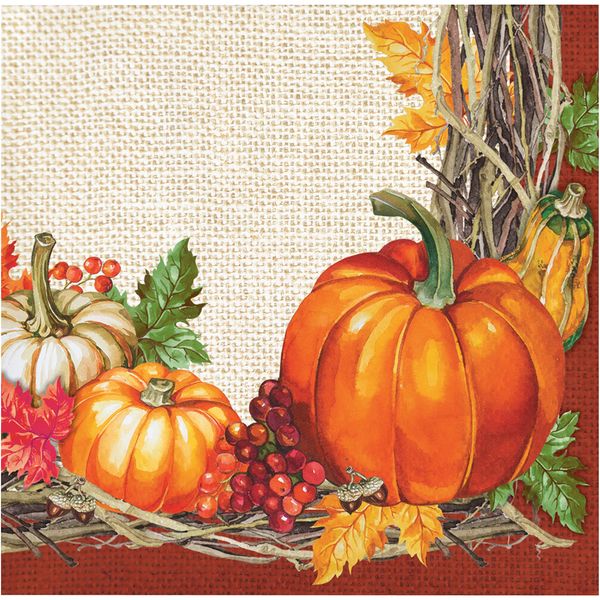 Creative Converting Plentiful Harvest Beverage Napkins, 5", Multi-color