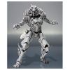 S.H.Figuarts ウルフオルフェノク