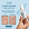 Generic Calm Down AHA/BHA Acne Spot Gel, 18g, Blue