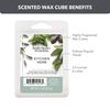 Better Homes and Gardens Scented Wax Cubes 2.5oz 2-Pack (Kitchen Herb)