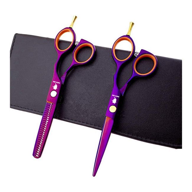5.5 Inch Professional Hair Cutting Shears/Scissors and Barber Thinning/Texturing Scissor with Scissor Bag