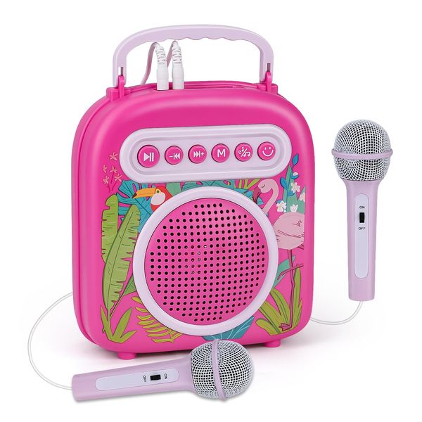 Mini Karaoke Machine for Girls Portable Karaoke Machine with 2 Microphones Pink Birthday Gift Toys for 4-10 Years Old Girls Karaoke Machine for Kids Bluetooth Karaoke Speaker System