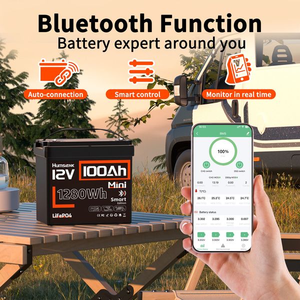 12V 100Ah Mini Bluetooth Low Temp LiFePO4 Lithium Battery For Boat RV Golf Carts