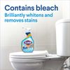 Tilex Mold & Mildew Remover, 32 oz