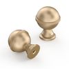 9BUILD 10 Pack 1.2 Inch Champagne Gold Cabinet Knobs Kitchen Cabinet Knobs Champagne Drawer Knobs Round Dresser Knobs Kitchen Knobs for Cabinets Knobs for Cabinets and Drawers