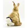 Jack Rabbit Blacktailed Plush Toy By Hansa 8"