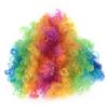 Pop Wig (bargain) - Rainbow