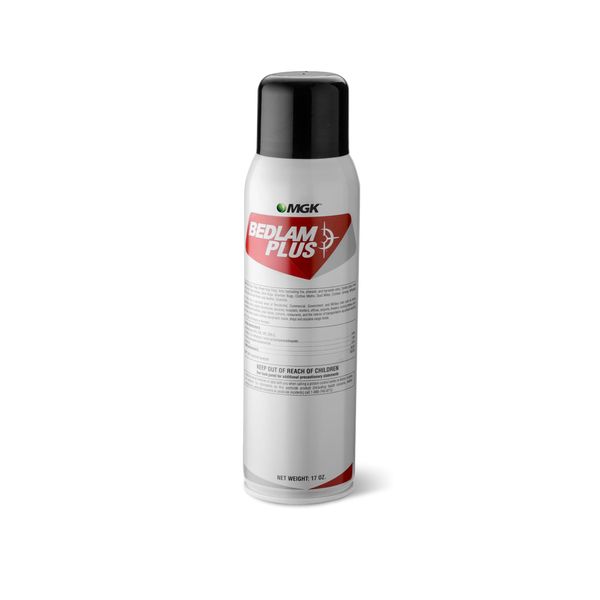 BEDLAM Plus 17 oz, Clear