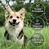 Protexin Veterinary Pro-Kolin Advanced Probiotics Paste for Dogs 15ml