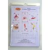 Iris Folding Card Pack Ladies Multi C5 Size Makes 12 Cards DeeCraft
