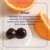 Shilajit Gummy Orange Flavor