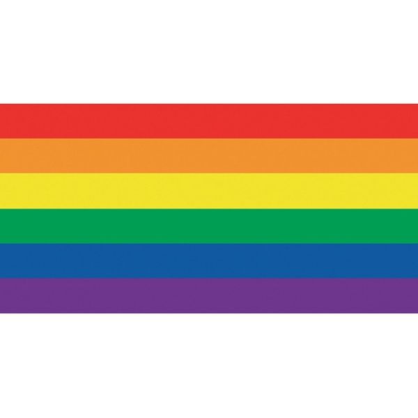 Rainbow / Gay Flag Beach Towel