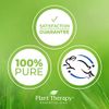 Plant Therapy Nutmeg Essential Oil 10 mL (1/3 oz) 100% Pure, Undiluted, Therapeutic Grade