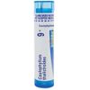 Boiron Caulophyllum Thalictroides 9C 80 Pellets for Menstrual Cramps