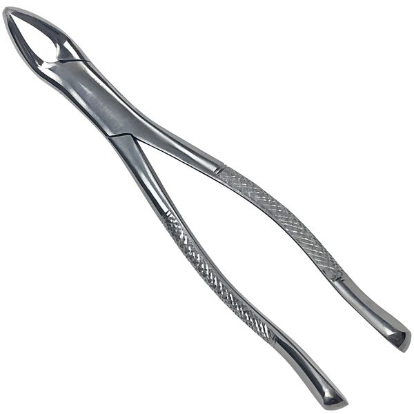 DEXA DENTAL Heavy Duty Dental Extracting Forceps # 151 Apical Forcep