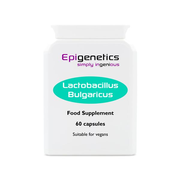 Lactobacillus Bulgaricus | 5 Billion CFU Probiotic + Jerusalem Artichoke Prebiotic (Inulin) | 60 Vegan Delayed Release Capsules UK Made | 2 Month Supply