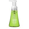 Method Naturally Derived Foaming Hand Wash, Green Tea + Aloe, 10 Ounce
