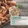 Mushroom Supplement - 10 Mushroom Complex - Lions Mane, Reishi, Turkey Tail, Chaga, Cordyceps, Shiitake, & Maitake - Nootropic Brain Supplement, Memory, Focus, & Imumune Health Support - 120 Capsules
