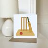 'Cricket Pitch Essentials' Blank Greeting Card (GC00077415)