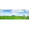 Australian Caprylac Digestible A2 100% Goat Milk Protein 400g 4 Packs