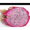 DRAGON FRUIT  CUTTING 10-14 Inches Check Description