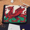 Azeeda 'Welsh Dragon' Wallet (WL00023999)