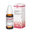 Inula helenium Urtinktur DHU, 20 ml Lösung