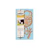 Spellbinders Spellbinders Shapeabilities Die D-Lites-Trees,