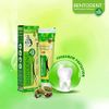 BENTODENT TOOTHPASTE Flouride-Free Natural Cardamom Enamel Protection Toothpaste, 100 gm